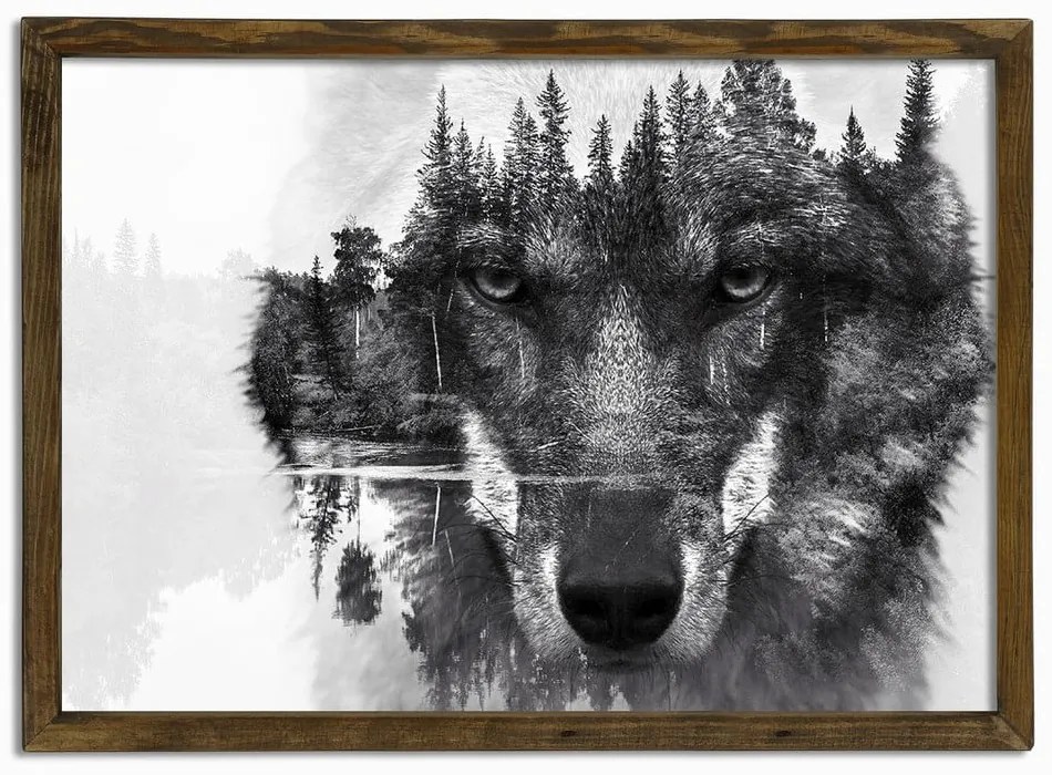 Nástenný obraz Husky, 70 × 50 cm