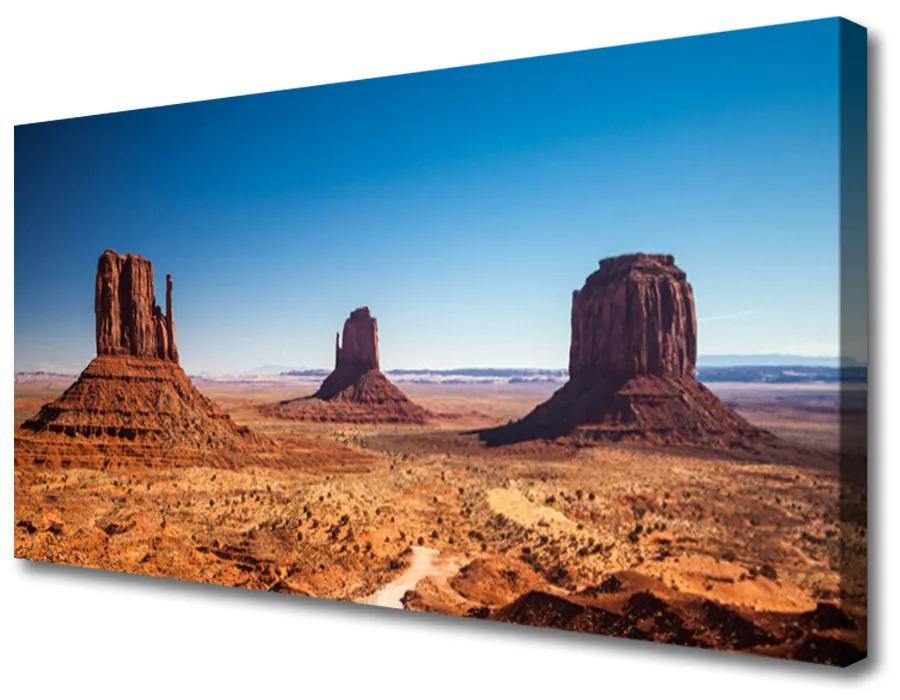Obraz Canvas Púšť hory príroda 125x50 cm