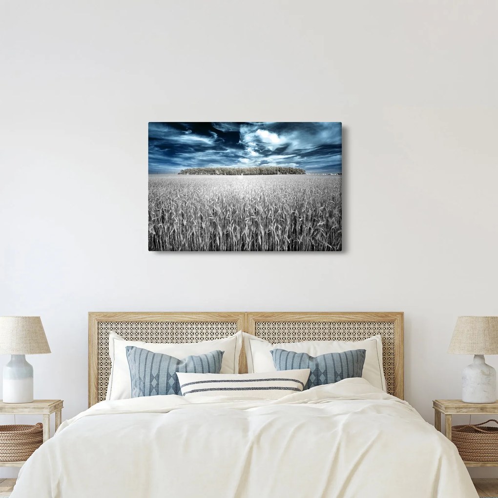 Obraz pole (90x60 cm)