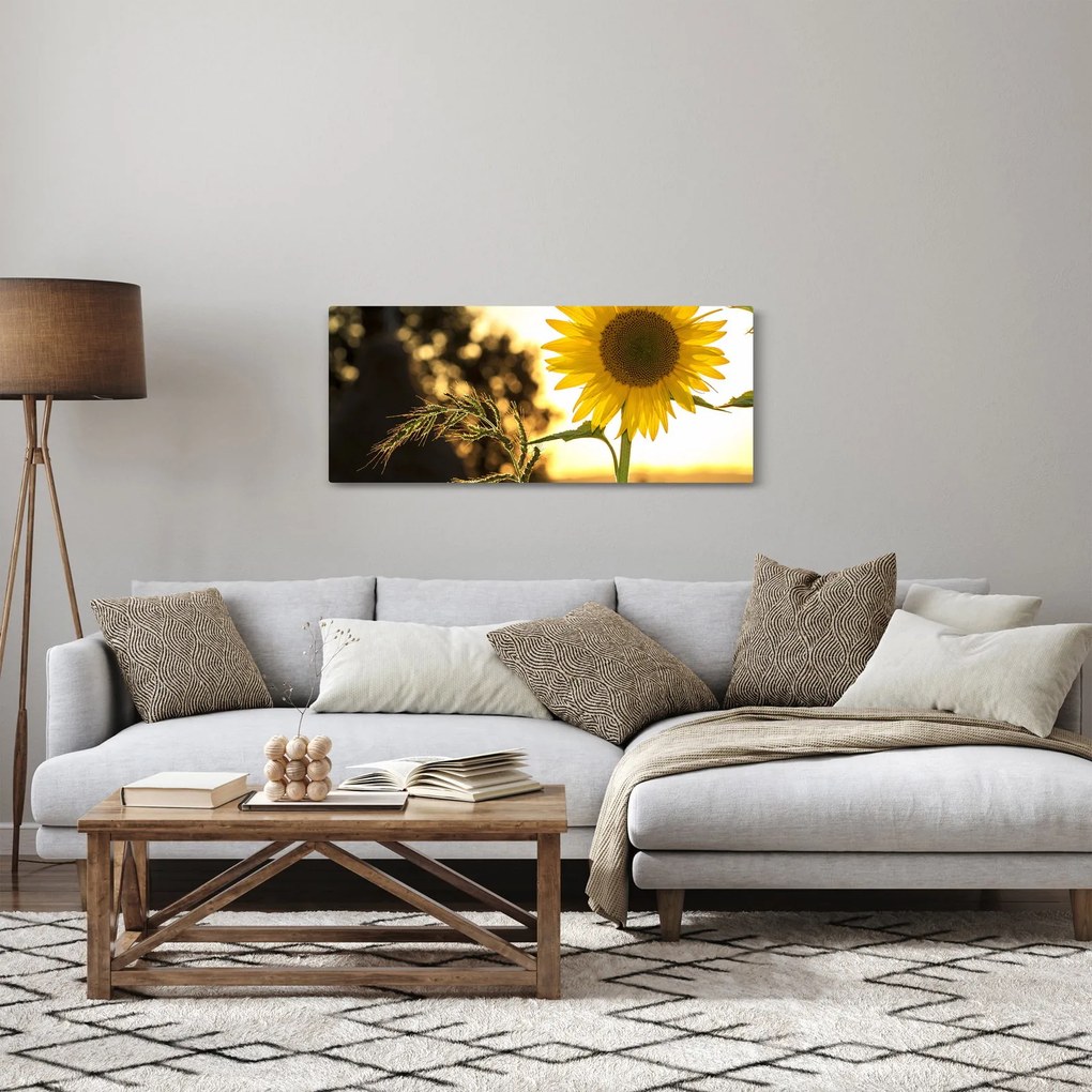Obraz slnečnice (120x50 cm)