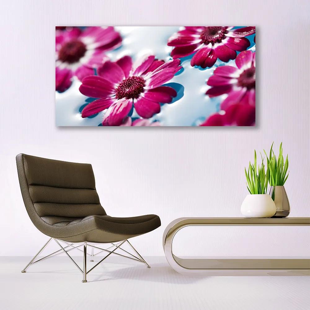 Obraz plexi Kvety na vode príroda 120x60 cm