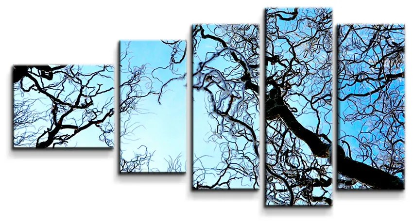 Sablio Obraz - 5-dílný Holé konáre - 100x60 cm