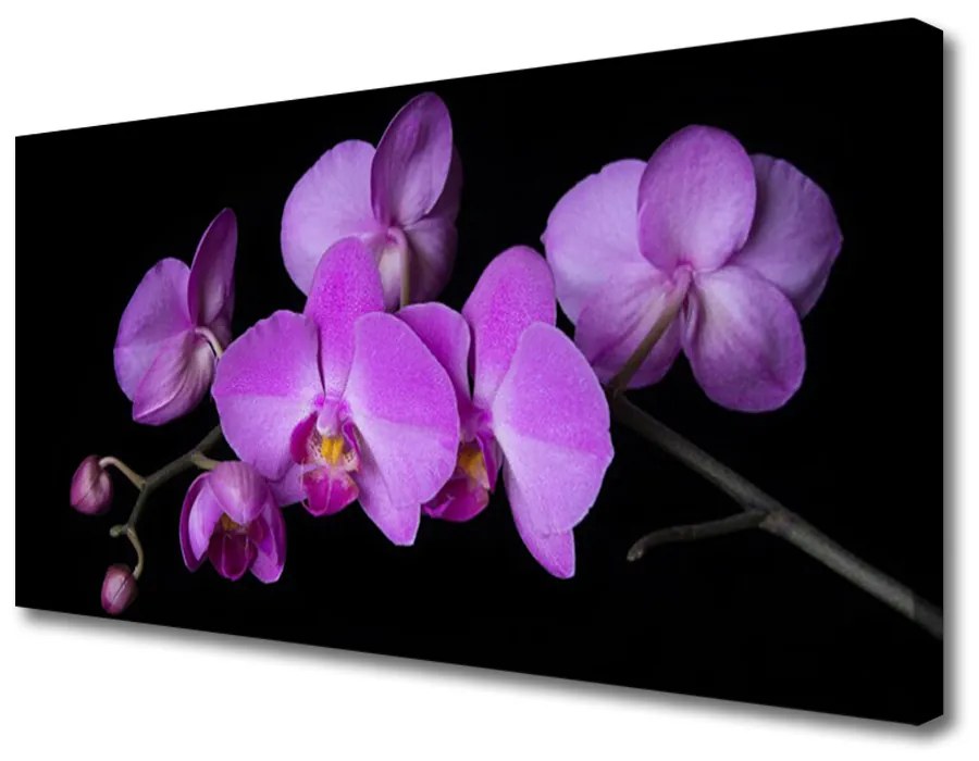 Obraz Canvas Vstavač orchidea kvety 120x60 cm