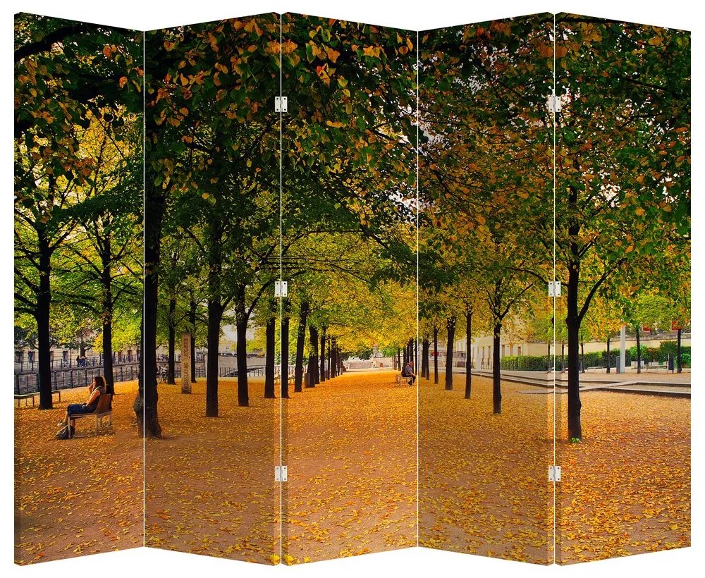 Paraván - Alej jesenných stromov (210x170 cm)