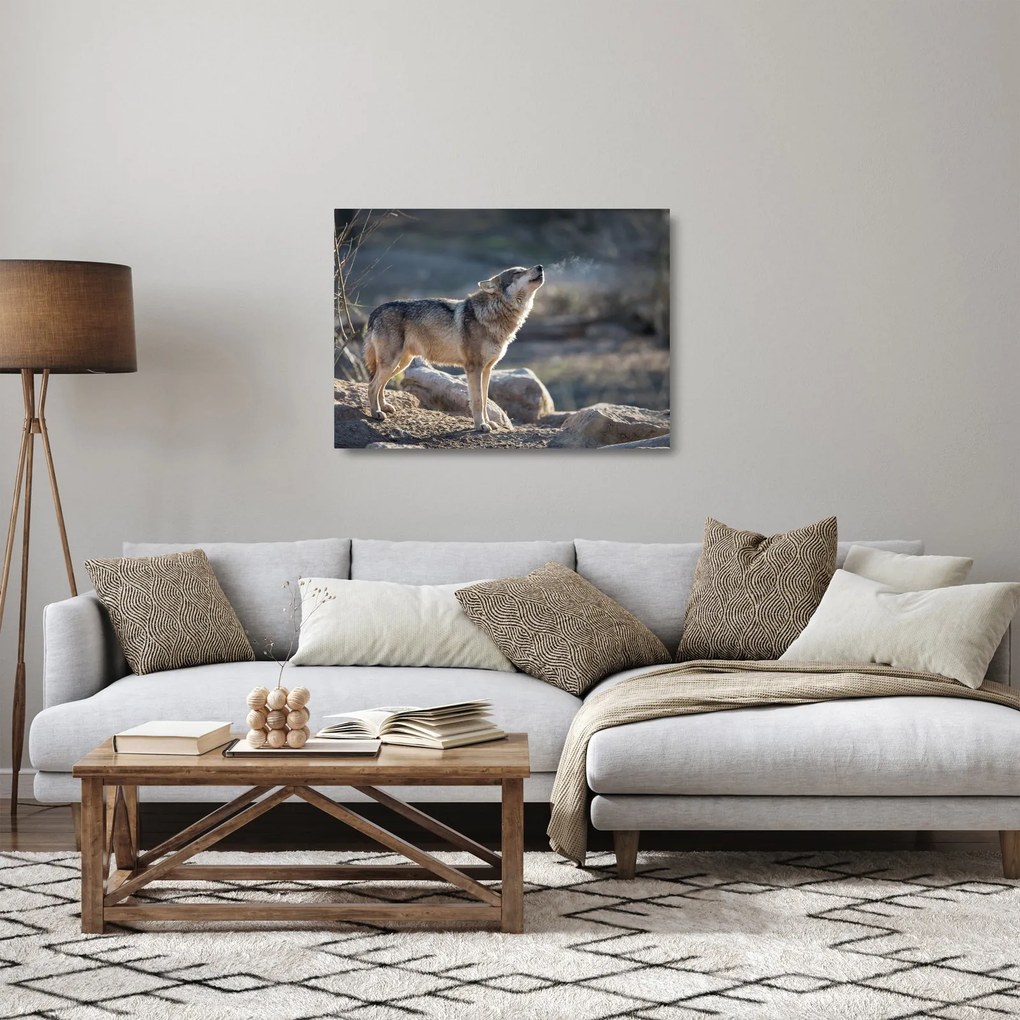 Sklenený obraz - Vyjúci vlk (70x50 cm)