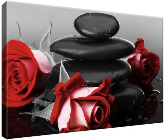 Obraz na plátne Červené ruže a kamene 30x20cm 1705A_1T