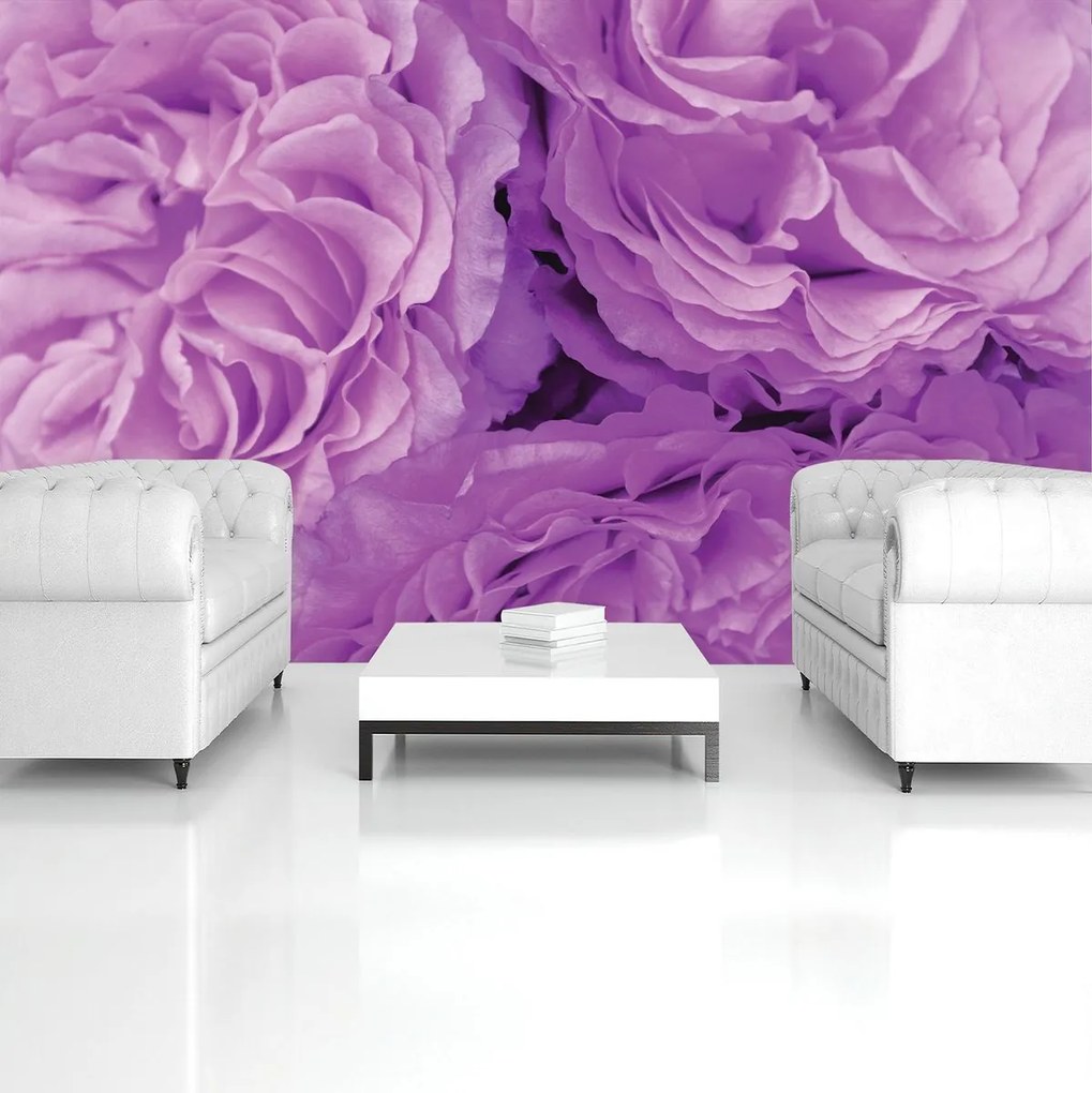 Fototapeta - Kvety (152,5x104 cm)