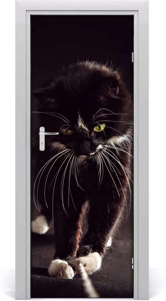 Samolepiace fototapety na dvere  čierna mačka