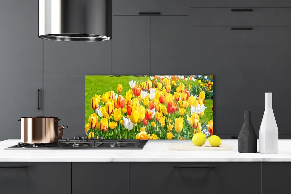 Sklenený obklad Do kuchyne Tulipány kvety príroda 100x50 cm