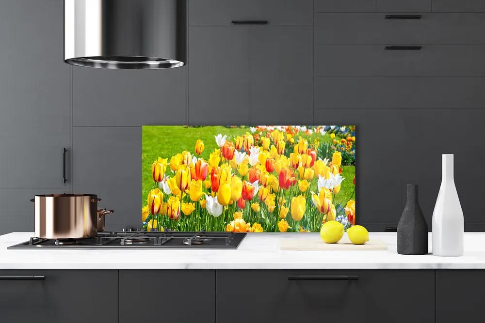 Sklenený obklad Do kuchyne Tulipány kvety príroda 125x50 cm