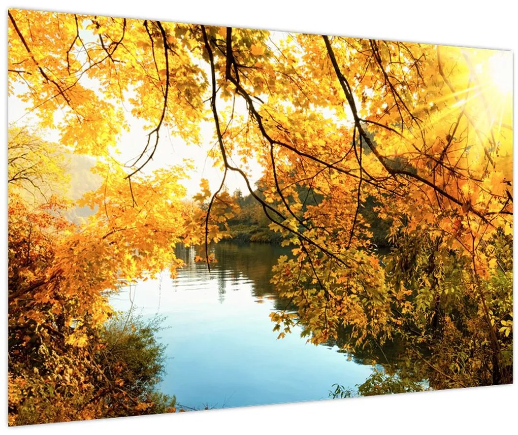 Obraz - Jesenný strom (90x60 cm)