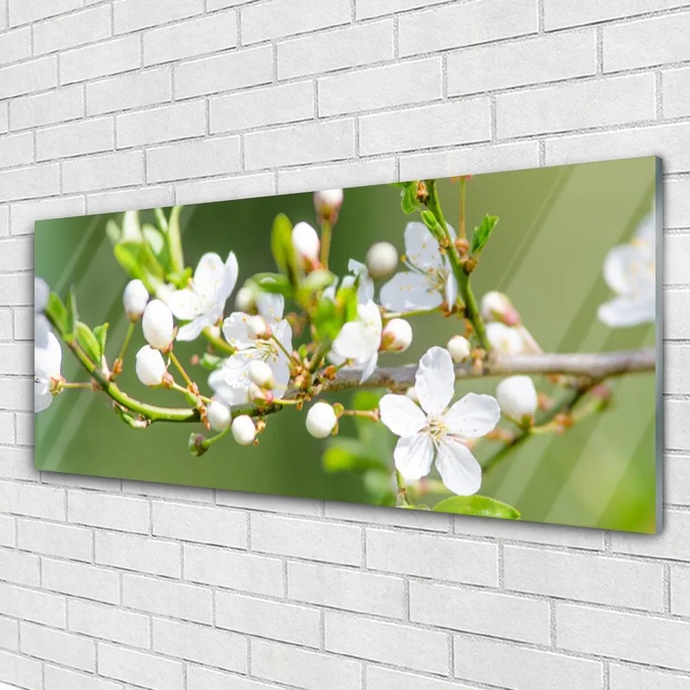 Obraz plexi Kvety vetvy listy sad 125x50 cm