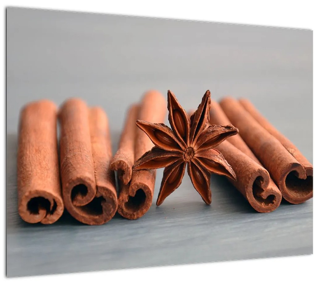 Sklenený obraz škorice (70x50 cm)