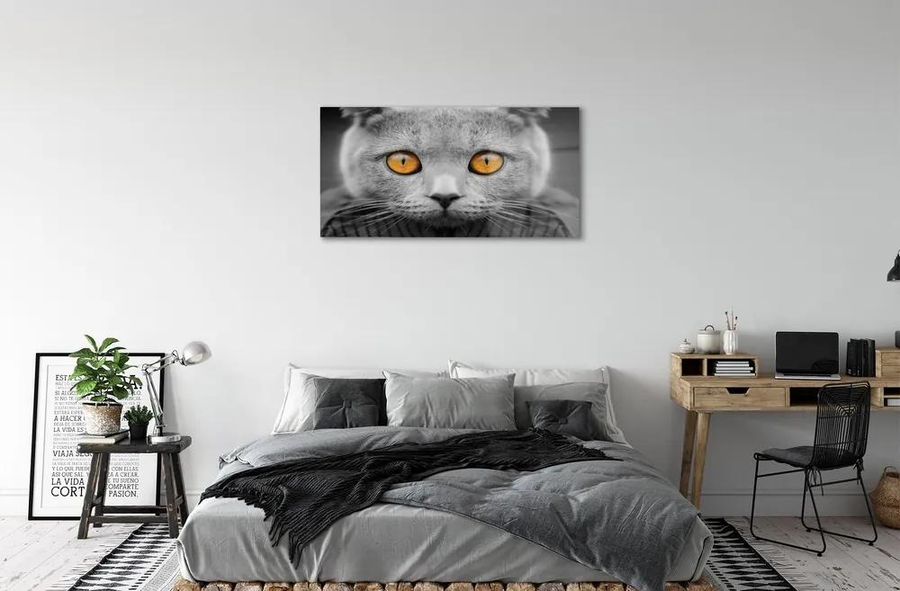 Sklenený obraz Sivá Britská mačka 120x60 cm