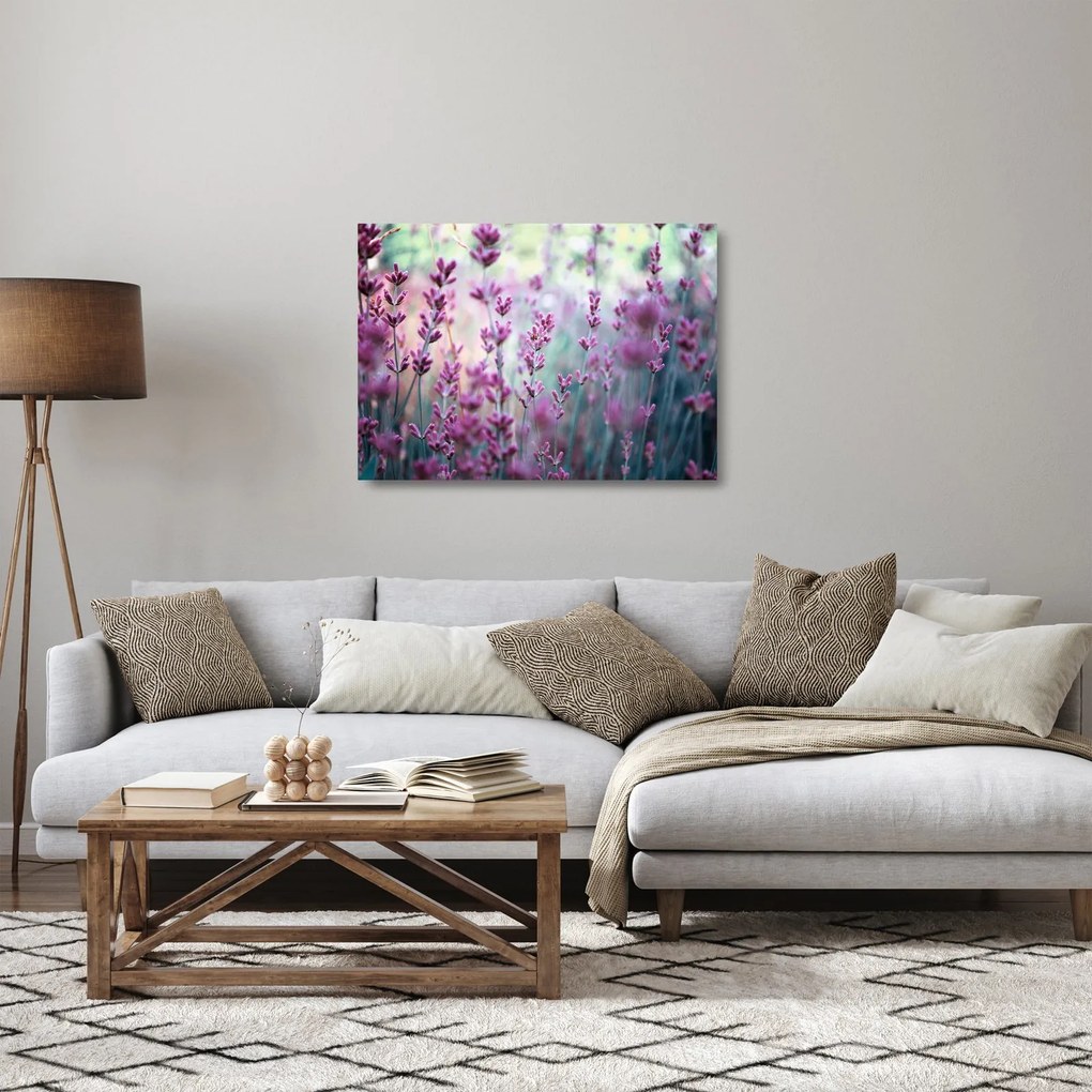 Sklenený obraz - Levanduľa (70x50 cm)