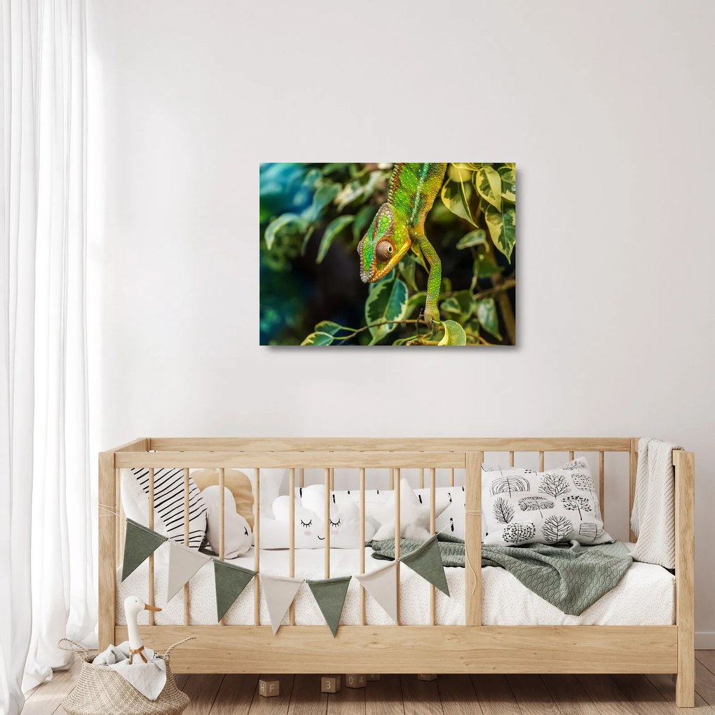 Sklenený obraz chameleóna (70x50 cm)