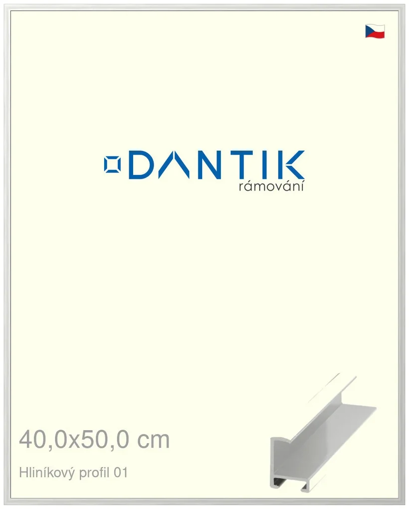 DANTIK rám na obraz 40x50 | ALU Stříbrná lesklá (Plexi Čiré)