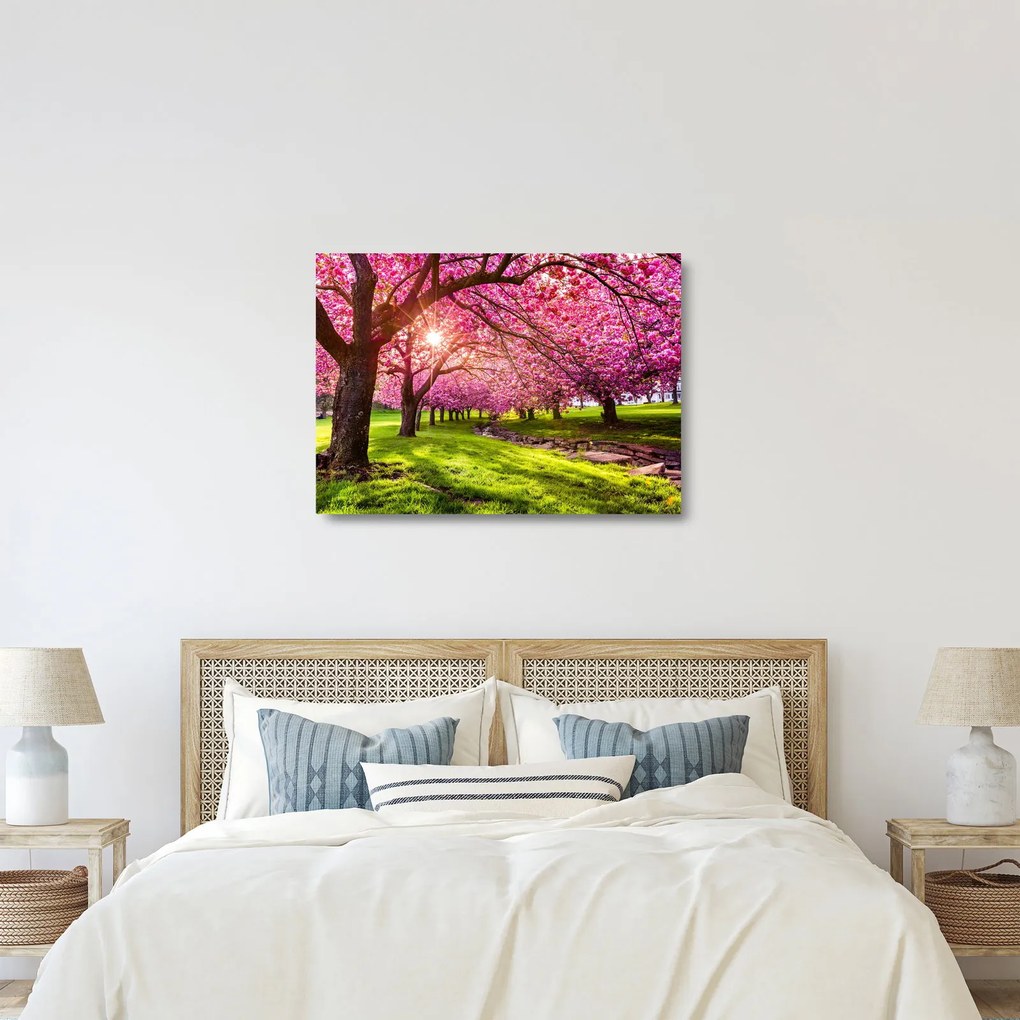 Sklenený obraz rozkvitnutých čerešní, Hurd Park, Dover, New Jersey (70x50 cm)