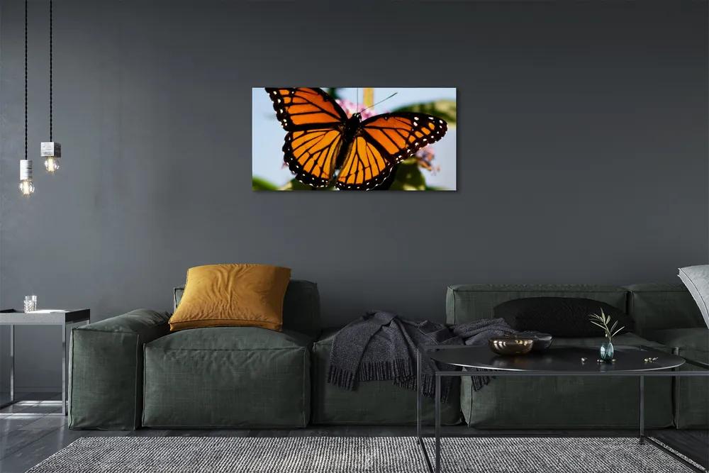 Obraz na plátne farebný motýľ 100x50 cm