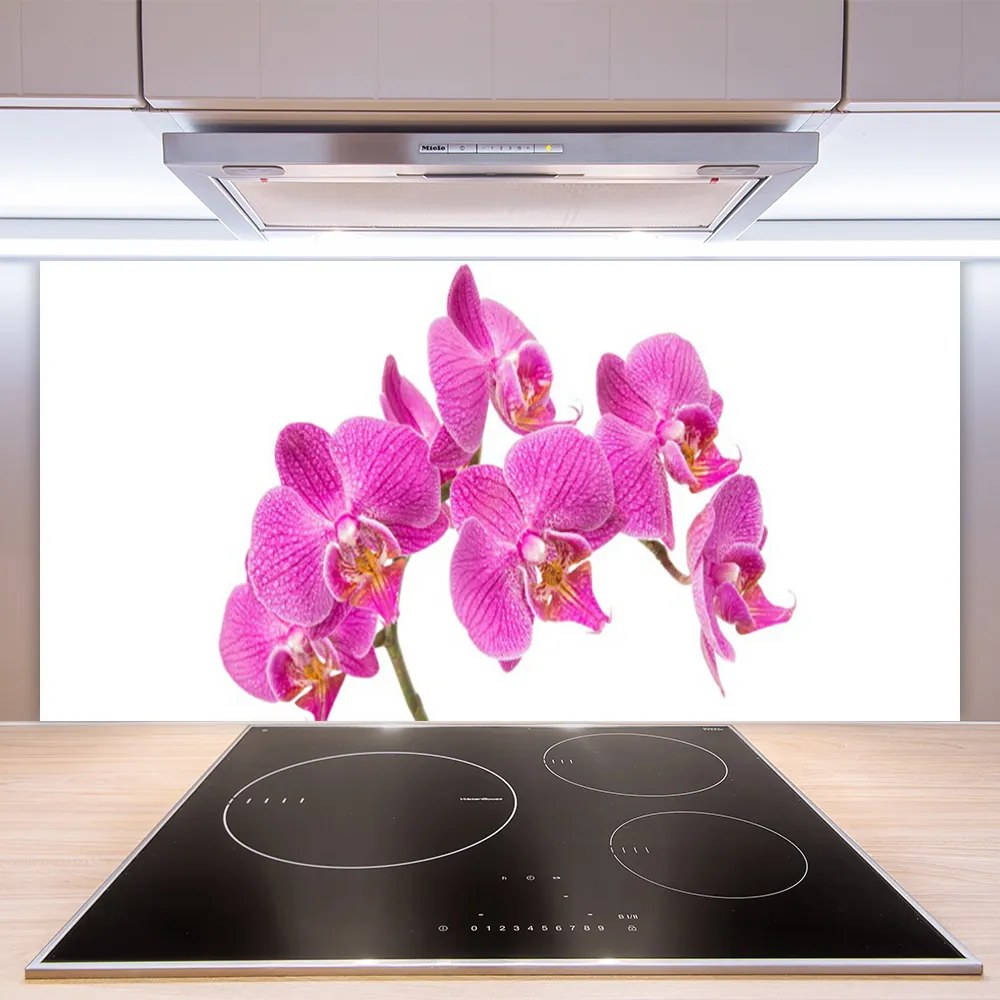 Sklenený obklad Do kuchyne Orchidea kvety príroda 140x70 cm