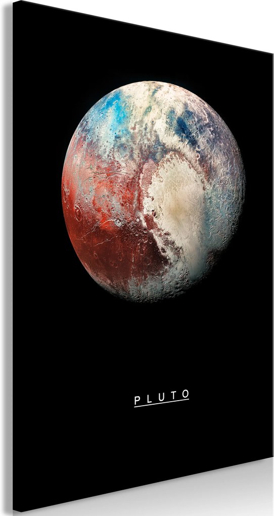 Obraz - Pluto (1 Part) Vertical 40x60