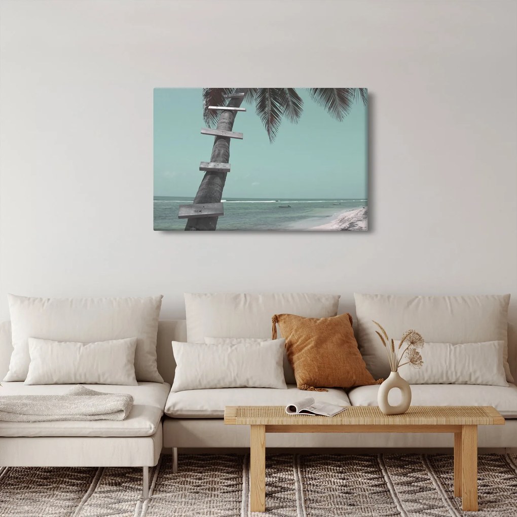 Obraz - Palma v Karibiku (90x60 cm)