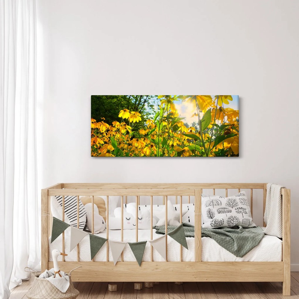Obraz žltých kvetov (120x50 cm)