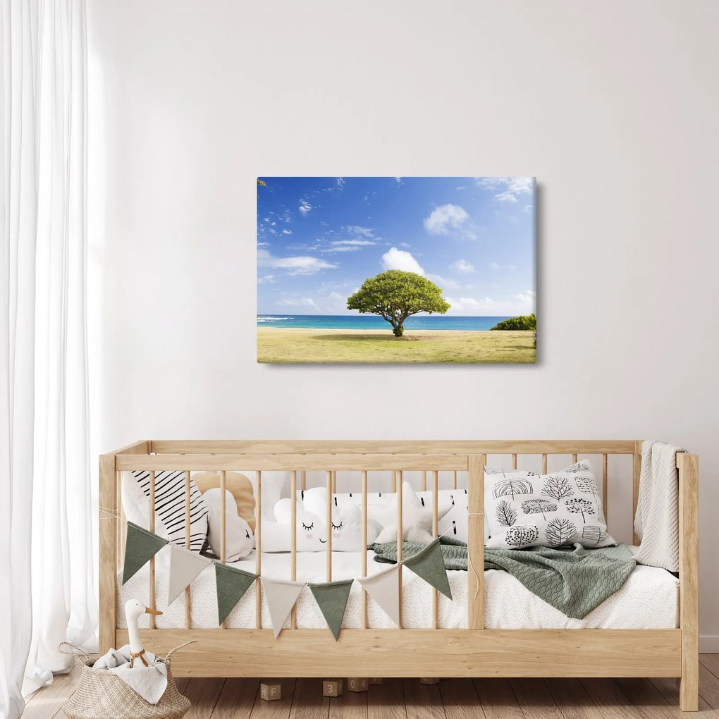 Obraz pláže so stromom (90x60 cm)