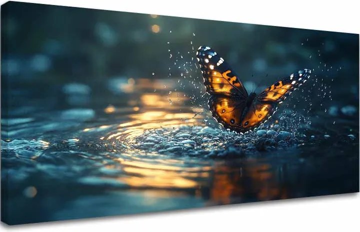 Obraz Motýľa - Čaro Prírody