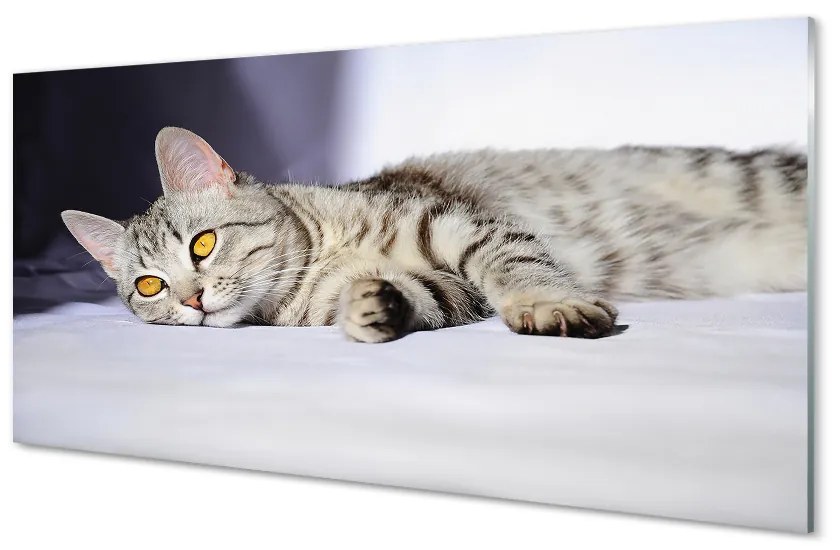 Nástenný panel  ležiace mačka 125x50 cm