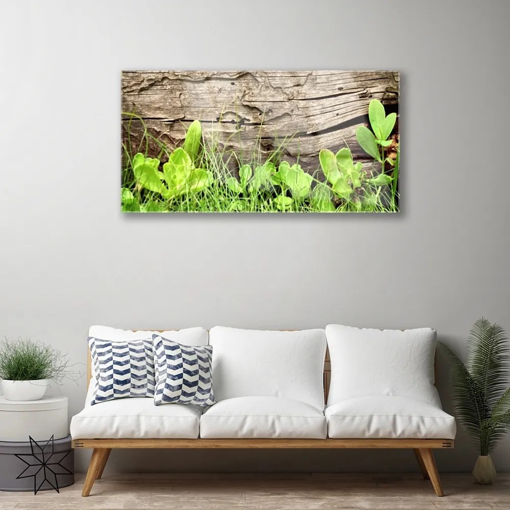 Obraz plexi Tráva listy kvety 100x50 cm
