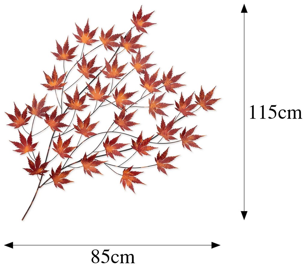 Acer Palmatum
