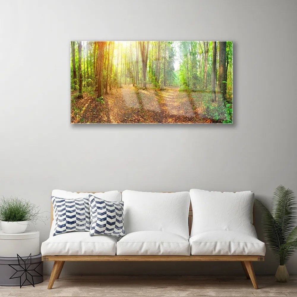 Skleneny obraz Slnko príroda lesné chodník 100x50 cm