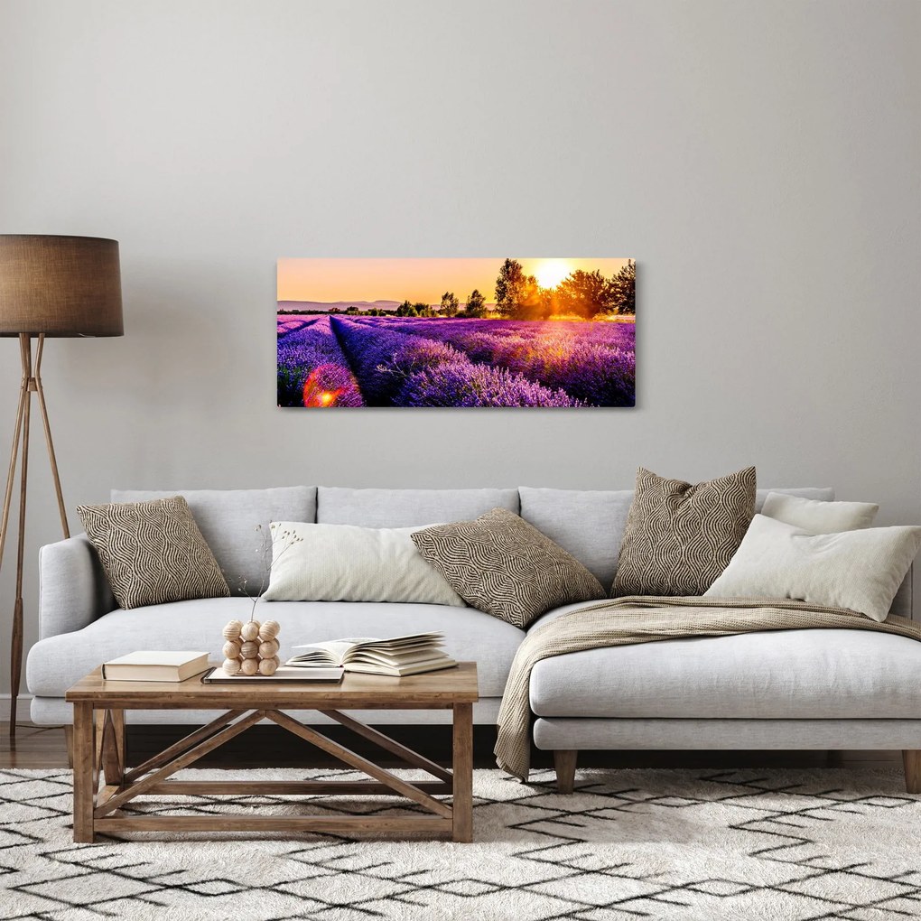 Obraz levanduľového poľa (120x50 cm)