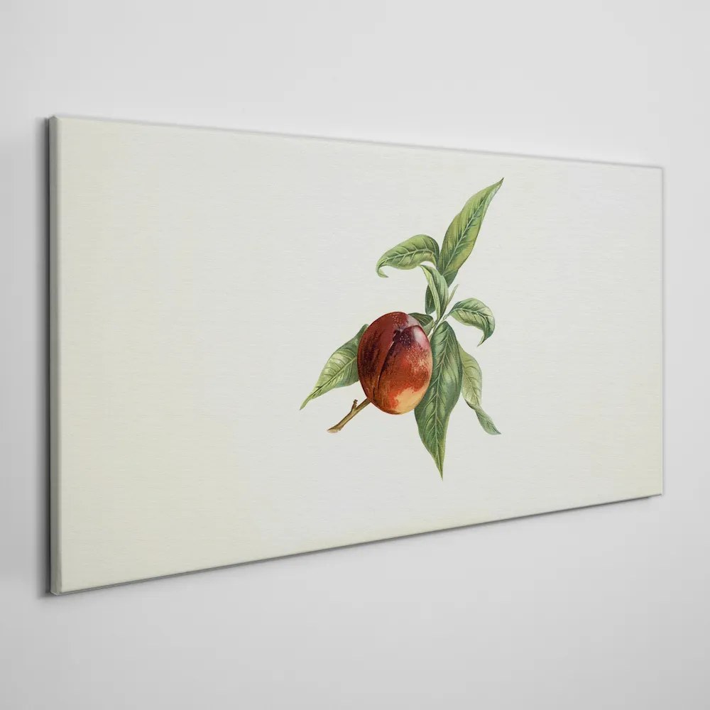 Obraz na plátne Ovocie vetva listy