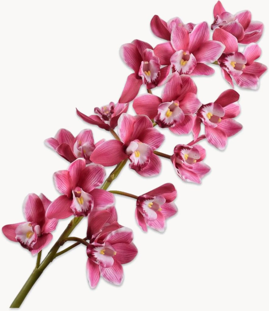 Rastlinná dekorácia Cymbidium