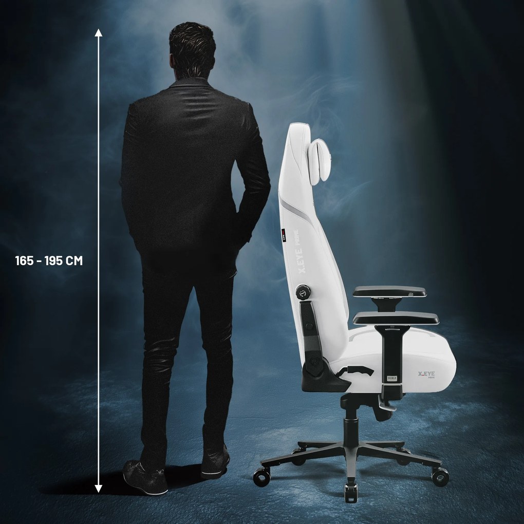 Herné kreslo Normal Size, čierne: Diablo X-Eye Prime Ghosted White