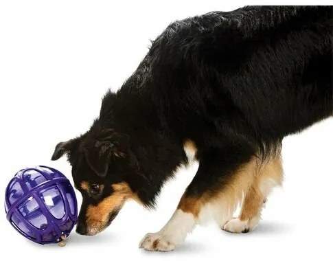 Hračka pre psov Kibble Nibble XS/S