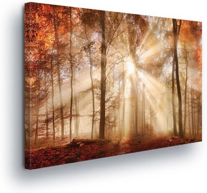 GLIX Obraz na plátne - Brown Glow in the Woods 100x75 cm