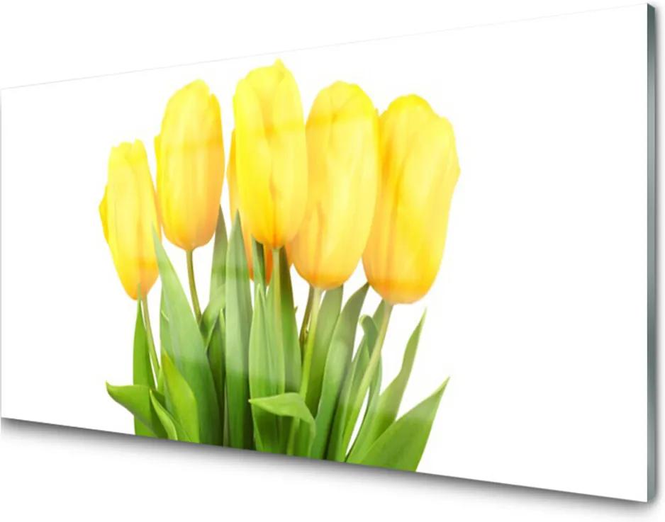 Sklenený obklad Do kuchyne Tulipány Kvety Rastlina