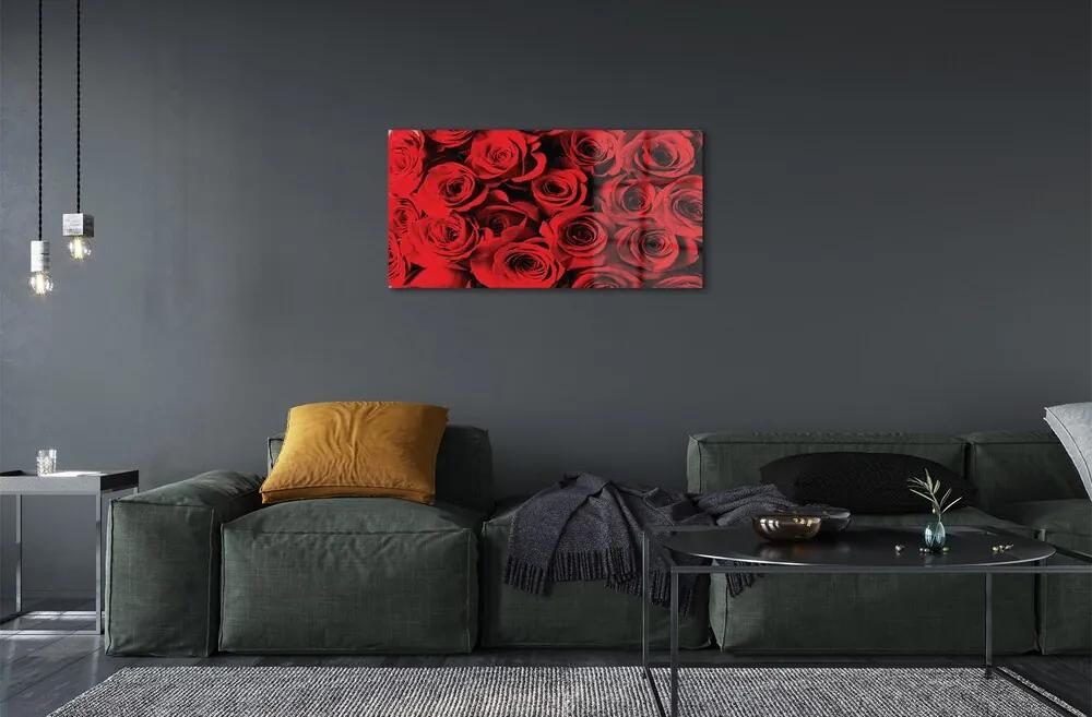 Obraz na skle ruže 125x50 cm
