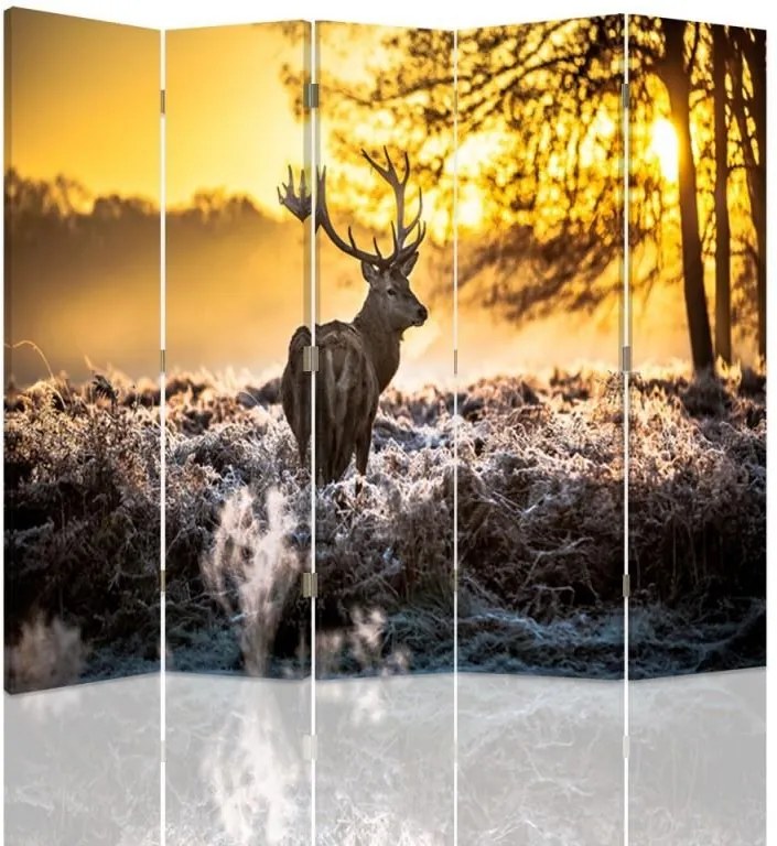 CARO Paraván - Deer At Sunset | päťdielny | obojstranný 180x150 cm