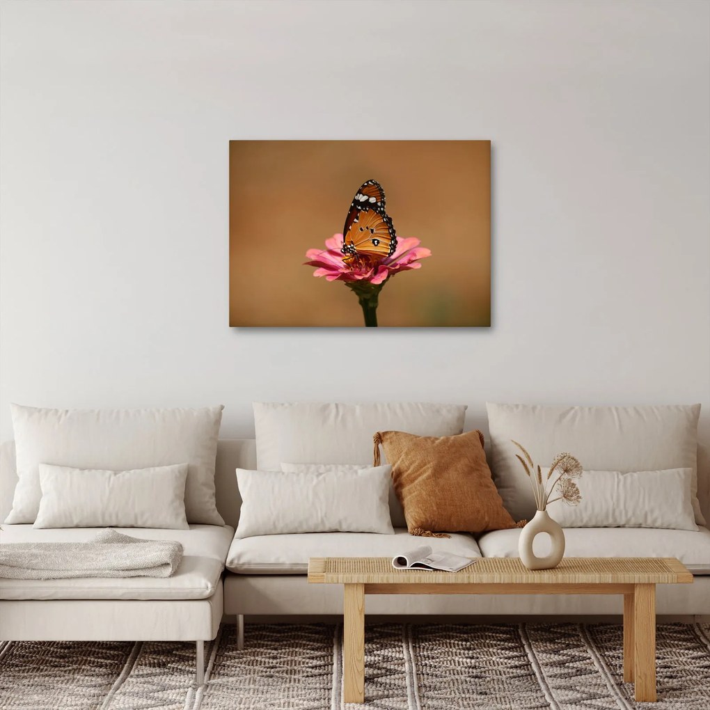 Obraz motýľa na kvetine (70x50 cm)