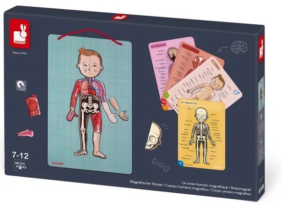 Janod - Magnetická skladačka BODYMAGNET ľudské telo