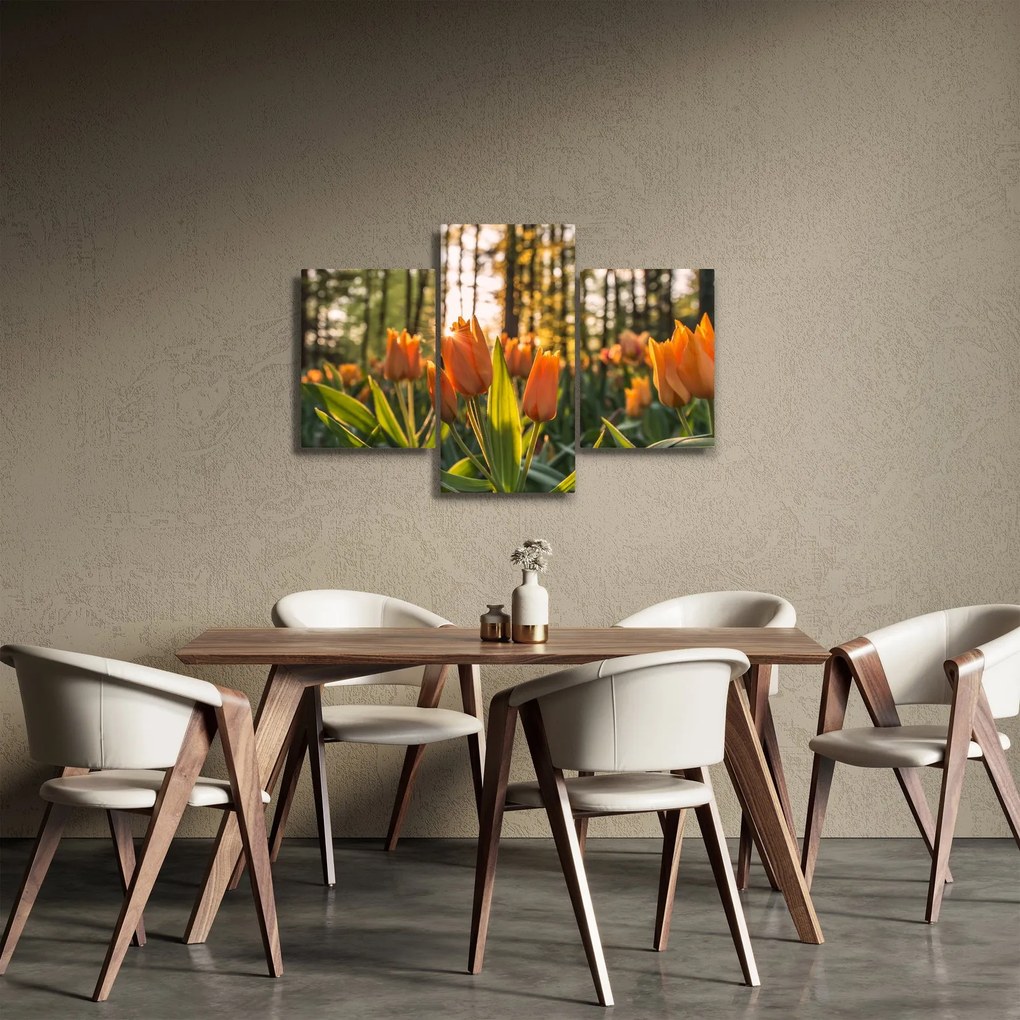 Obraz - kvety tulipánov (90x60 cm)