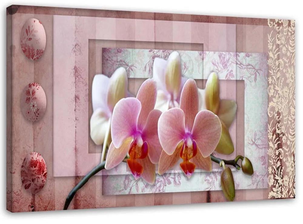 Obraz na plátně Růžové květiny orchidejí - 90x60 cm