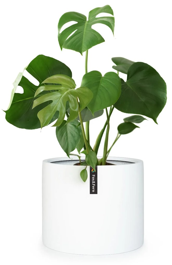 Fox & Fern Gendt, kvetináč, fiberstone, interiér/exteriér