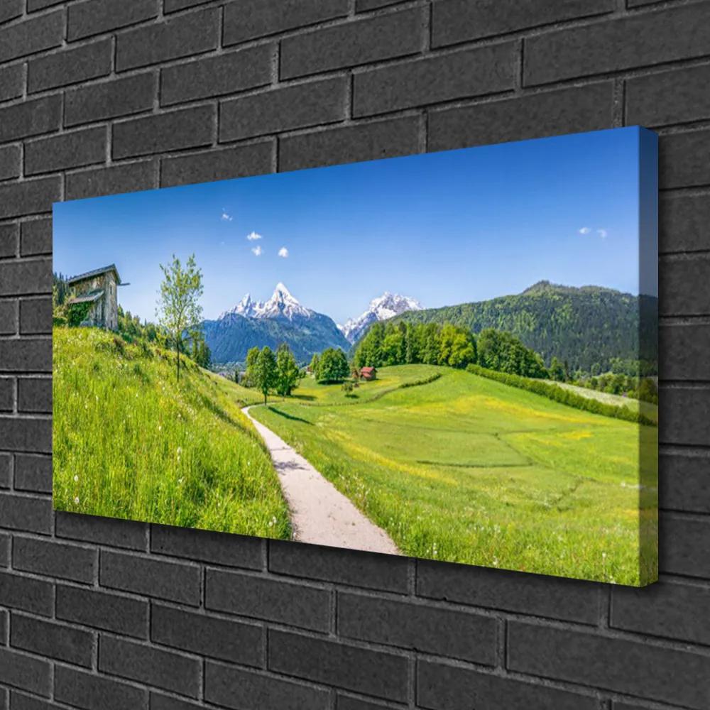 Obraz Canvas Hory lúka chodník údolí 120x60 cm