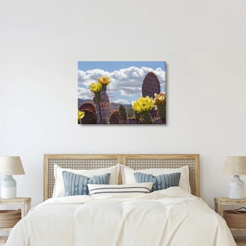 Obraz opuncie (70x50 cm)