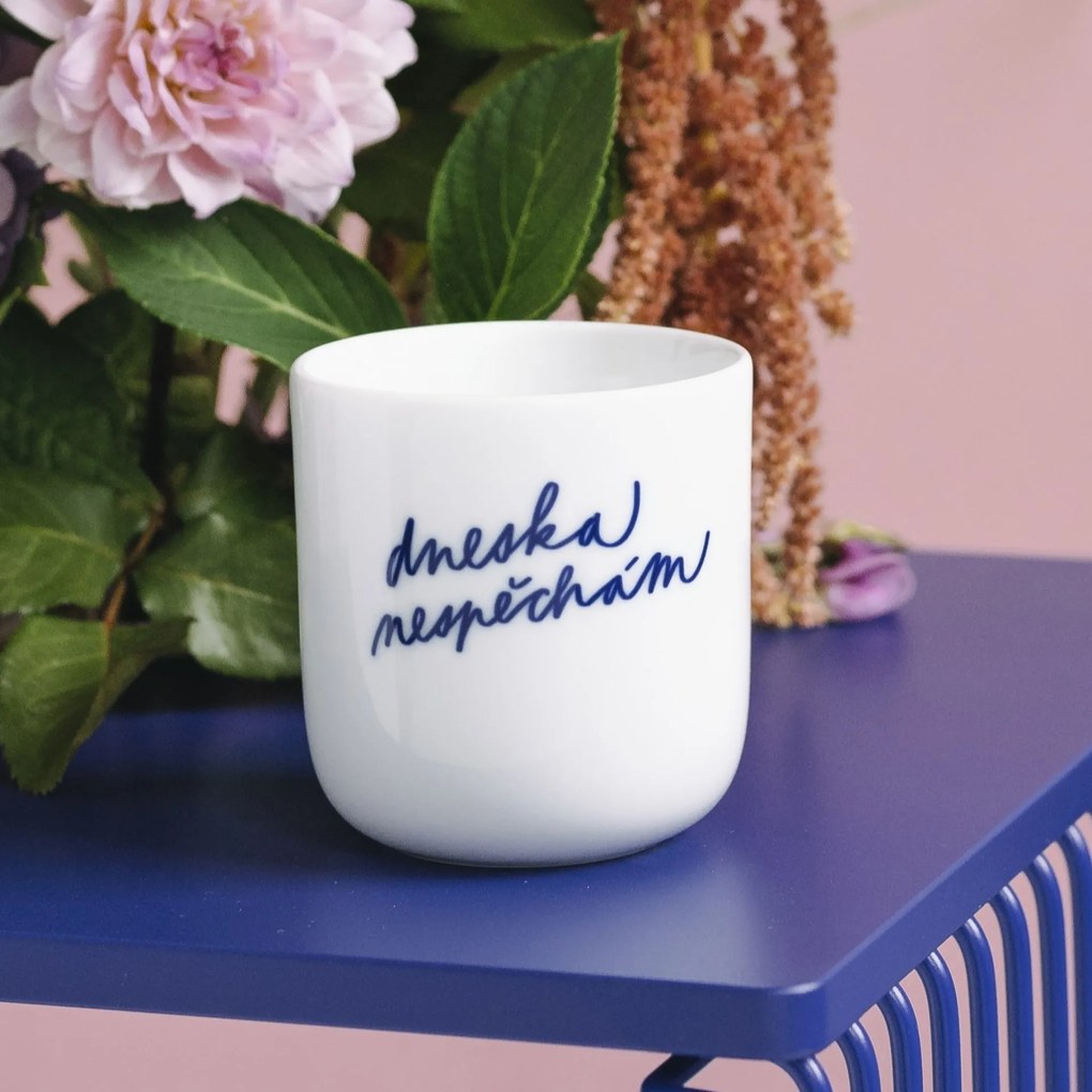 Bella Rose Porcelánový hrnček Dneska nespěchám 270 ml